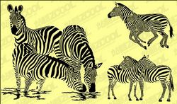 Zebra vector material Free CDR