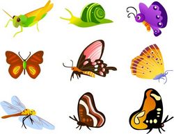 Insect icons collection various colorful types Free CDR