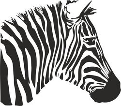 Zebra Stencil Free CDR