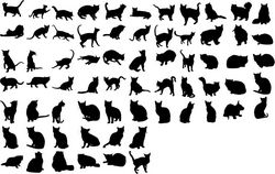 Cats Collection Vector Silhouette Free CDR