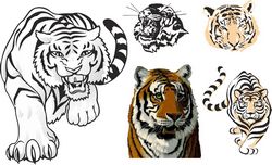 Tiger Stickers For Cars Free CDR
