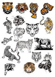 Tiger Vinyl Wall Stickers Free CDR