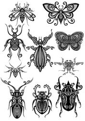 Ornament Insect Art Vector Pack Free CDR