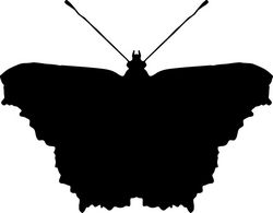 Silhouette clipart butterfly Free CDR