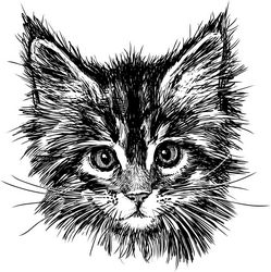 Hand Drawn Cat Free CDR