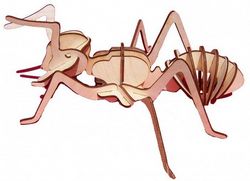 Laser cut Insect Ant Free CDR