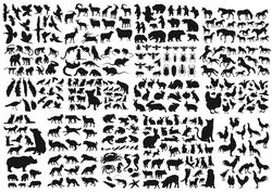 Animals Collection Vector Silhouette Free CDR