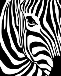 Zebra Print Free CDR