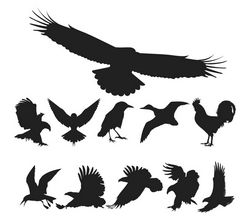Birds Silhouette Vector Pack Free CDR