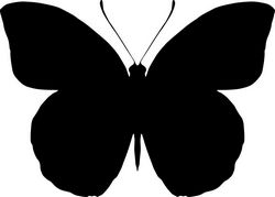 Butterfly Silhouette Free CDR