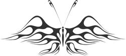 Butterfly Vector Illustration Free CDR
