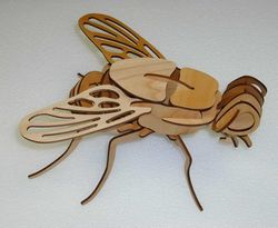 Laser Cut Wooden 3d Fly Tempate Free CDR