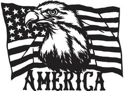 American Flag Eagles Download Free CDR