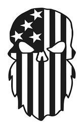 Beard Punisher Usa Flag Skulls For Silhouette Free CDR