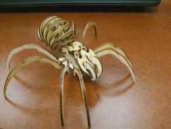 Spider 3d Puzzle Laser Cut Template Free CDR
