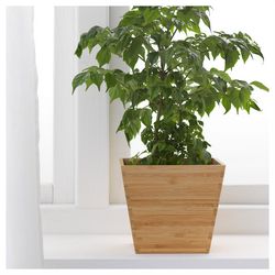 Laser Cut Wooden Plant Pot Flower Holder Free CDR