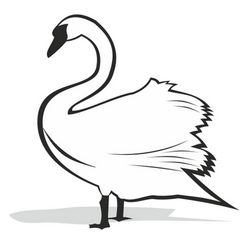 Black And White Swan Silhouette Clip Art Free CDR