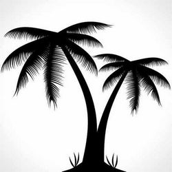 Palm Tree Silhouette Clip Art Free CDR