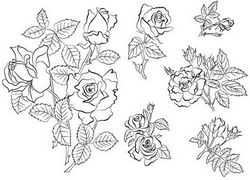 Hand Draw Flowers Sketch Free CDR