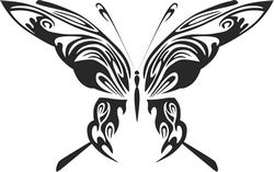 Butterfly Art 048 Free CDR