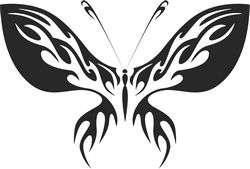 Butterfly Vector Art 013 Free CDR