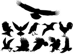 collection of Birds Silhouettes Free CDR