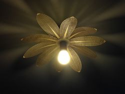 Flower Laser  Lamp Free CDR