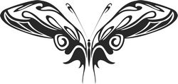 Butterfly Vector Art 015 Free CDR
