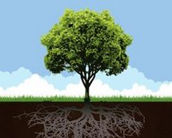 Conceptual Tree With Root And Grass Clip Art Free CDR