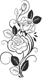 Black And White Rose Free CDR