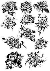 Flowers Roses  Collection Free CDR