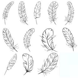 Collection Of Feathers Free DXF File