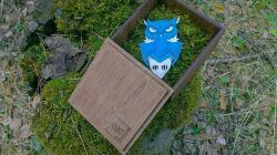 Owl Owl In Wooden Box Download For Laser Cut Free DXF File
