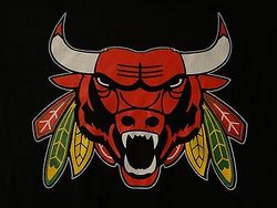 Chicago Bulls And Chicago Blackhawks Free DXF File