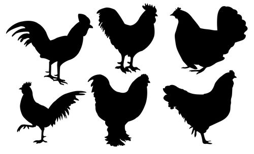 Chickens Free DXF File