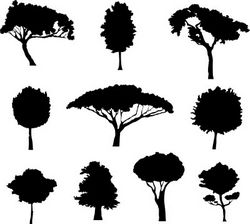 Different Trees Free DXF File