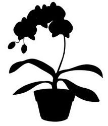 House Plant 5 Free DXF File