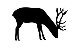 Deer Grazing Silhouette Free DXF File