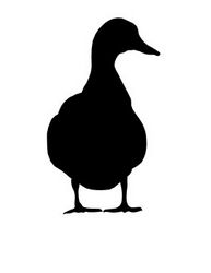 Mallard Ducks Sitting Free DXF File