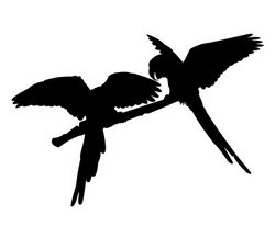 Parrot Pair Silhouette Free DXF File