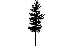 Trees And Plants 22 Free DXF File