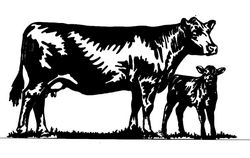 Cow Free DXF File
