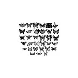 Butterfly Ornament Decor Free DXF File