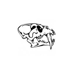 Horror Skull Bird Head 011 Free DXF File