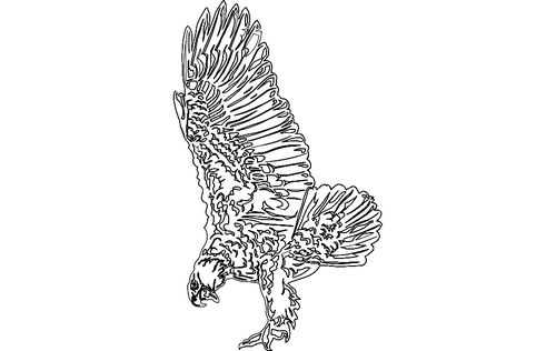 Eagle 7 Free DXF File