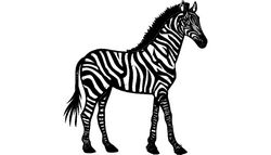 Zebra Free DXF File