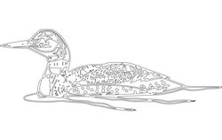 Loon Free DXF File