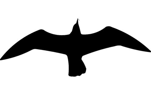 Seagul Silhouette Free DXF File