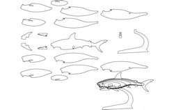 Shark Fish 3D Puzzle Free DXF File