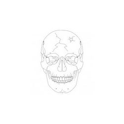 Skull Simple Free DXF File